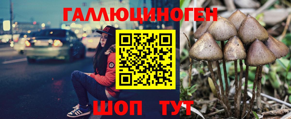 Псилоцибиновые грибы Cubensis  Вход с VPN  наркошоп  Костомукша 