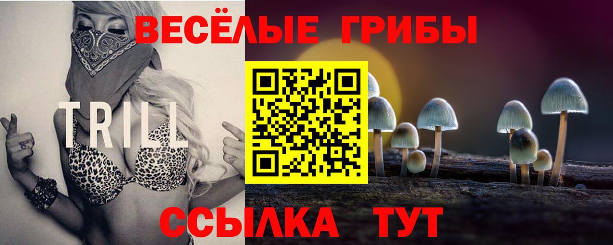 Галлюциногенные грибы мицелий Костомукша